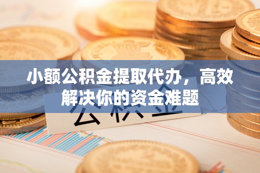 葫芦岛小额公积金提取代办，高效解决你的资金难题
