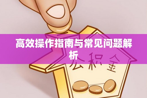 葫芦岛高效操作指南与常见问题解析
