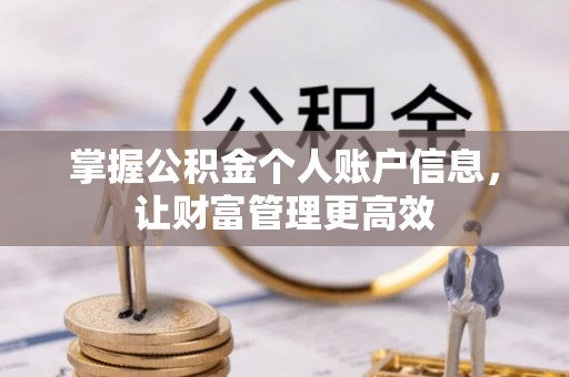 葫芦岛掌握公积金个人账户信息，让财富管理更高效
